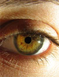 Eye Eye Cancer Tumour Growths Cancer