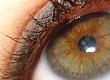 Types of Ocular Tumours