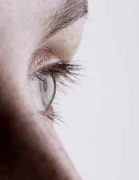 Eye Cornea Lens Function Of Tears