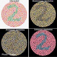 Colour Vision Employers Colour Blindness