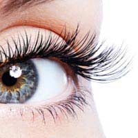 False Eyelashes Eyelash Extensions