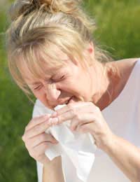 Hay-fever allergy contact Lenses